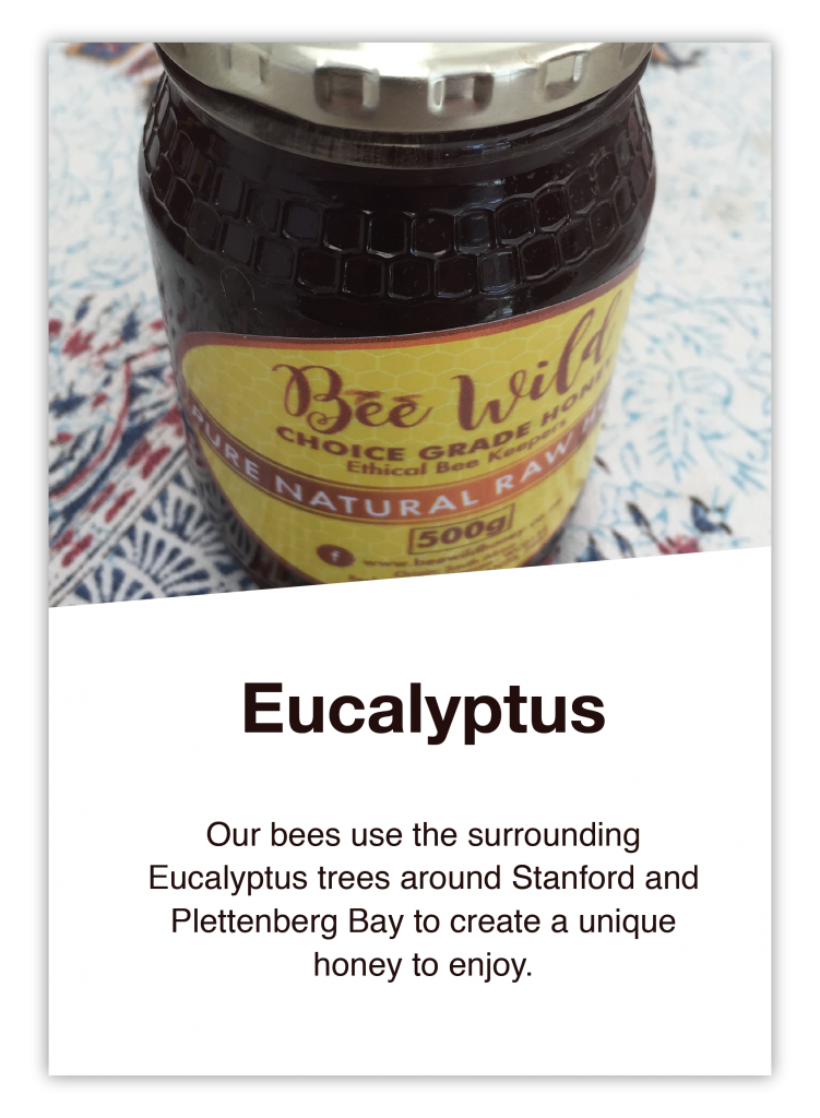 eucalyptus honey